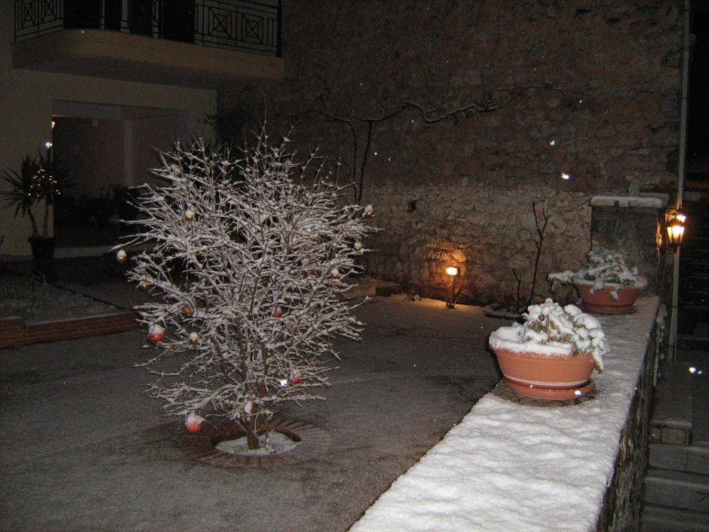 Filoxenia Apartment Levidi Exterior photo